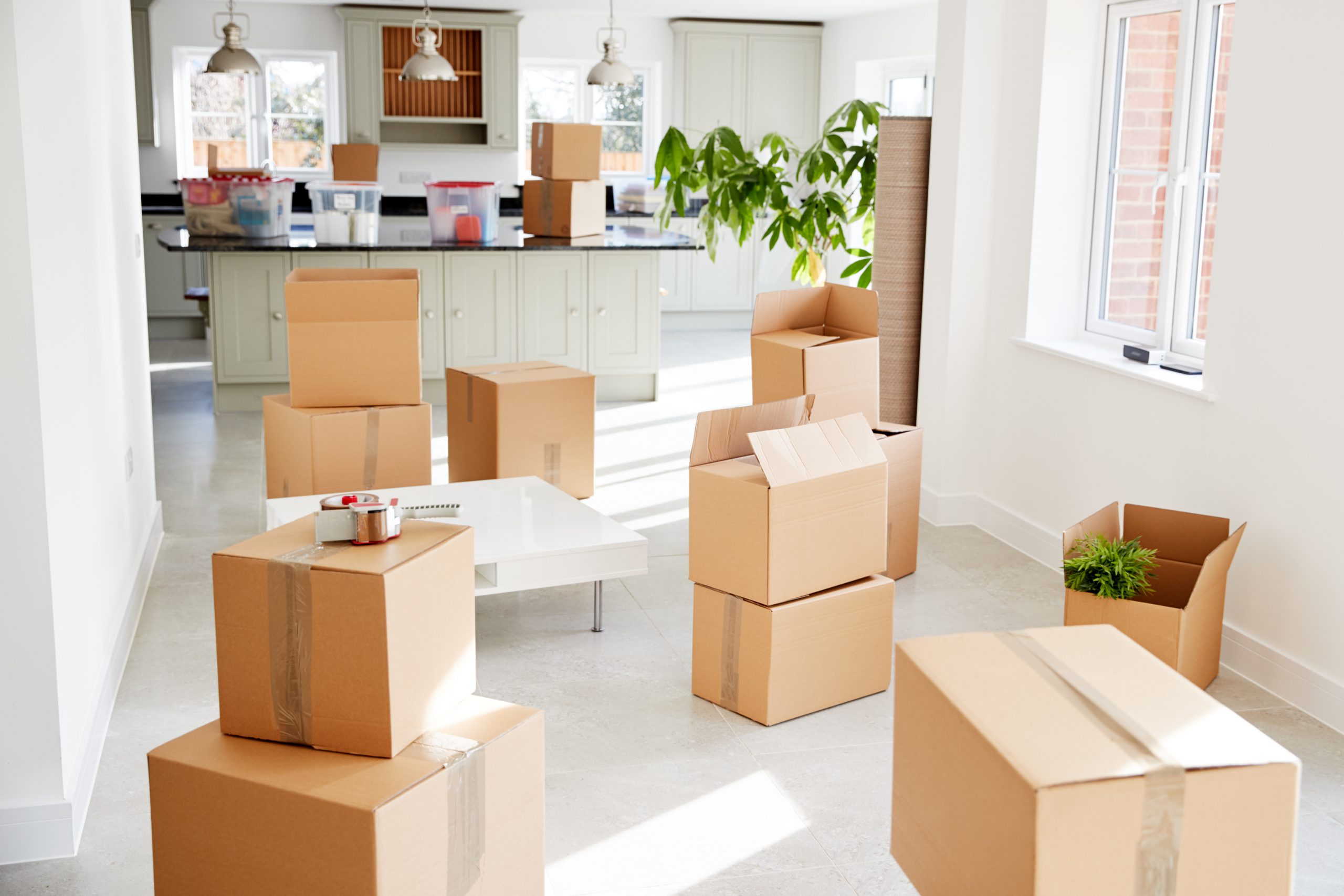 precision movers denver